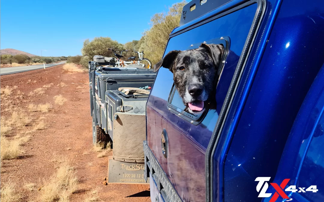 Canopy And Dog Box, Do They Mix?